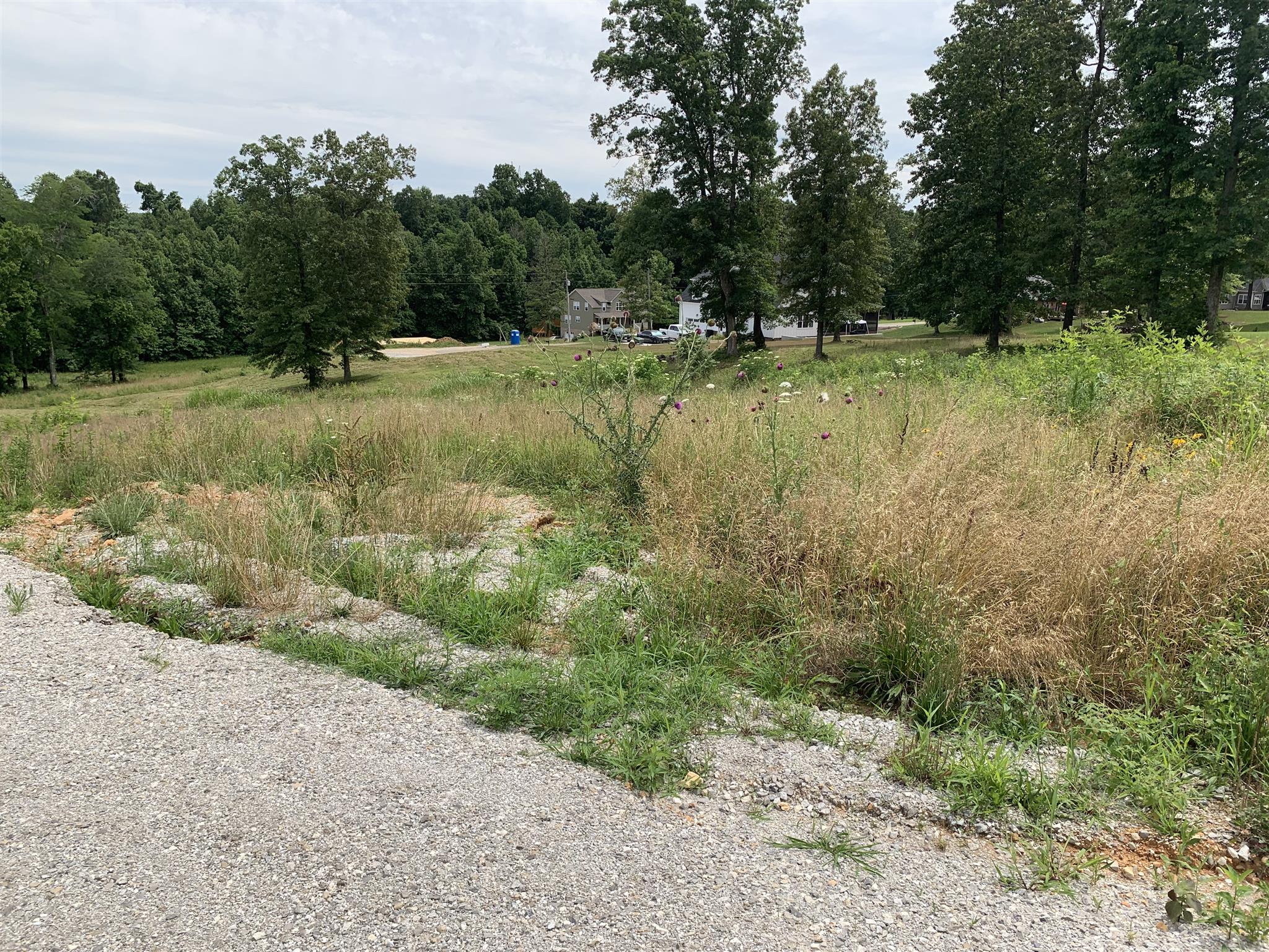 0 Inverness Drive Burns, TN 37029 - Photo 3 of 4 Gallery Image 3
