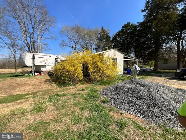 a view of a yard with a tree