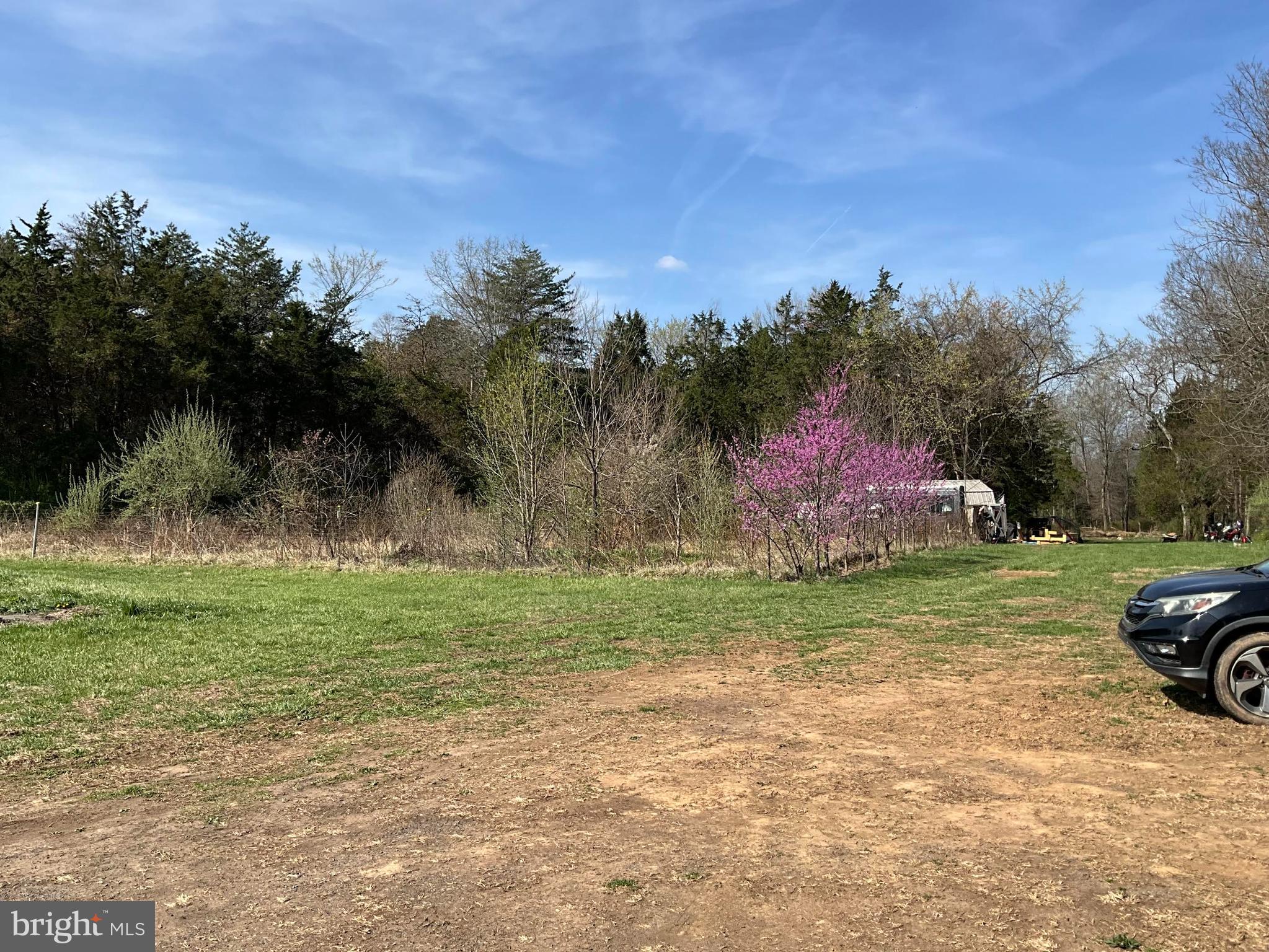 16080 Newbys Shop Road Elkwood, VA 22718 - Photo 12 of 21 a view of a yard with a tree
