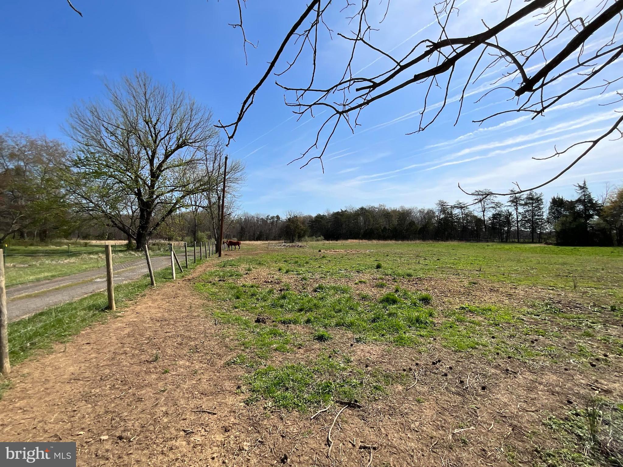 16080 Newbys Shop Road Elkwood, VA 22718 - Photo 14 of 21 a view of a yard with a tree
