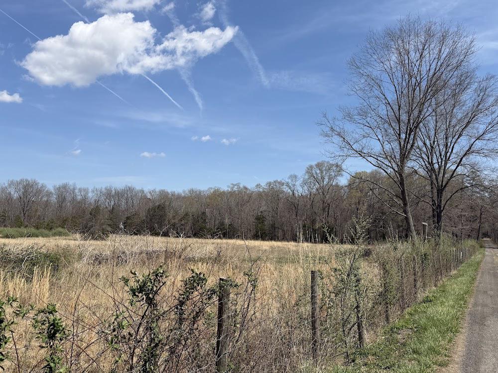 16080 Newbys Shop Road Elkwood, VA 22718 - Photo 3 of 21 a view of a green field