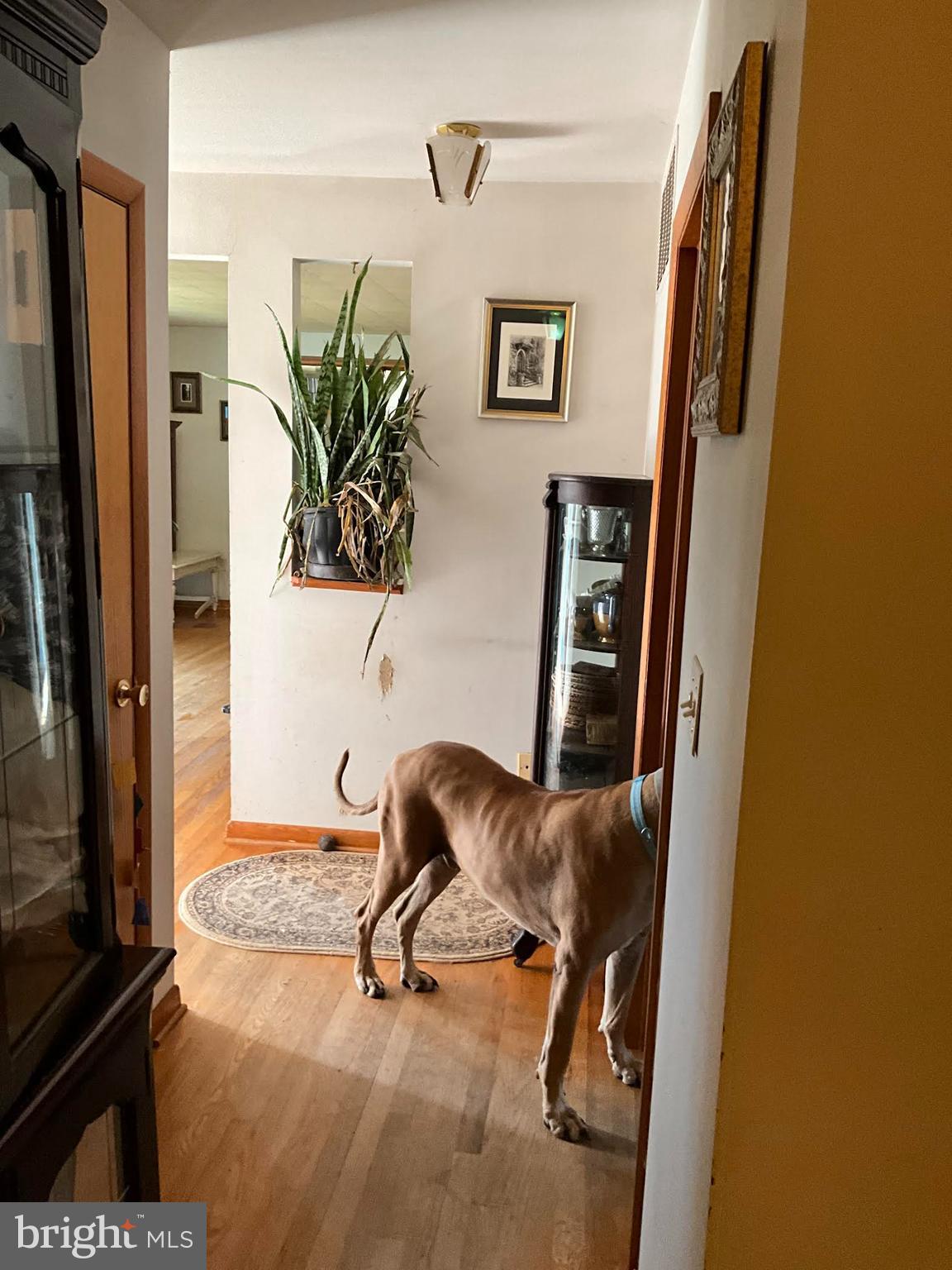 16080 Newbys Shop Road Elkwood, VA 22718 - Photo 8 of 21 a view of workspace with mirror gate