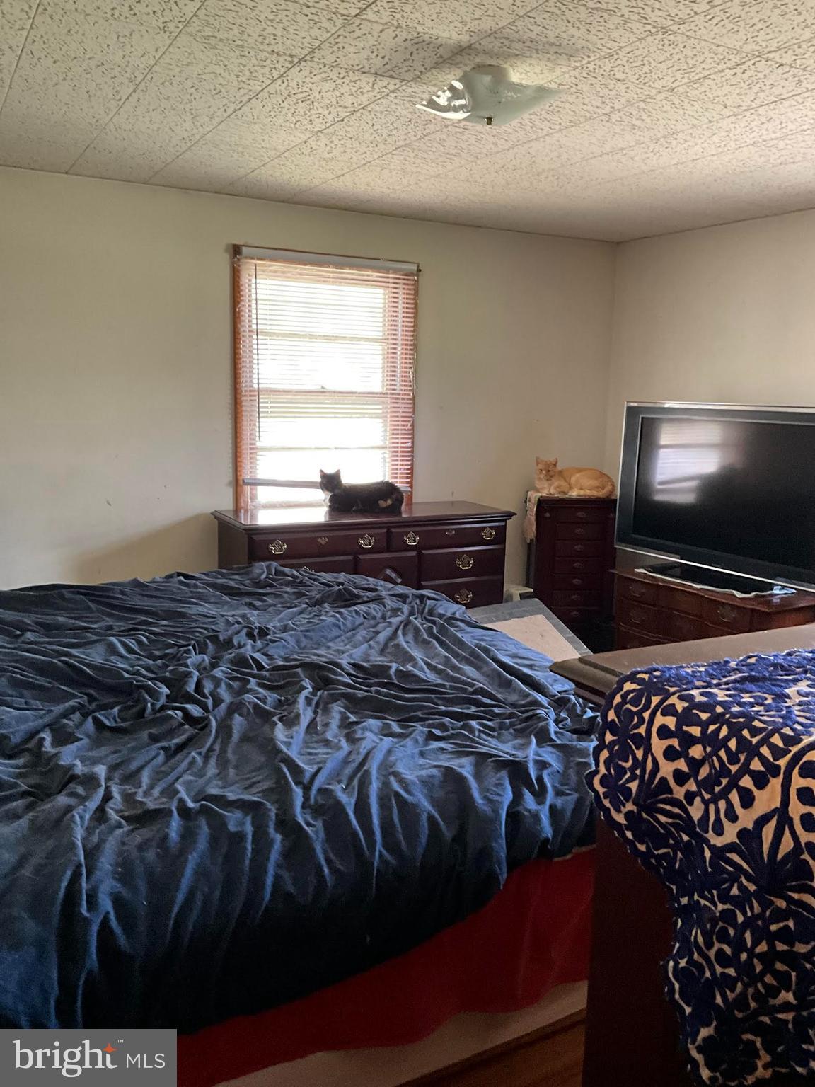 16080 Newbys Shop Road Elkwood, VA 22718 - Photo 10 of 21 a bedroom with a bed and a flat screen tv