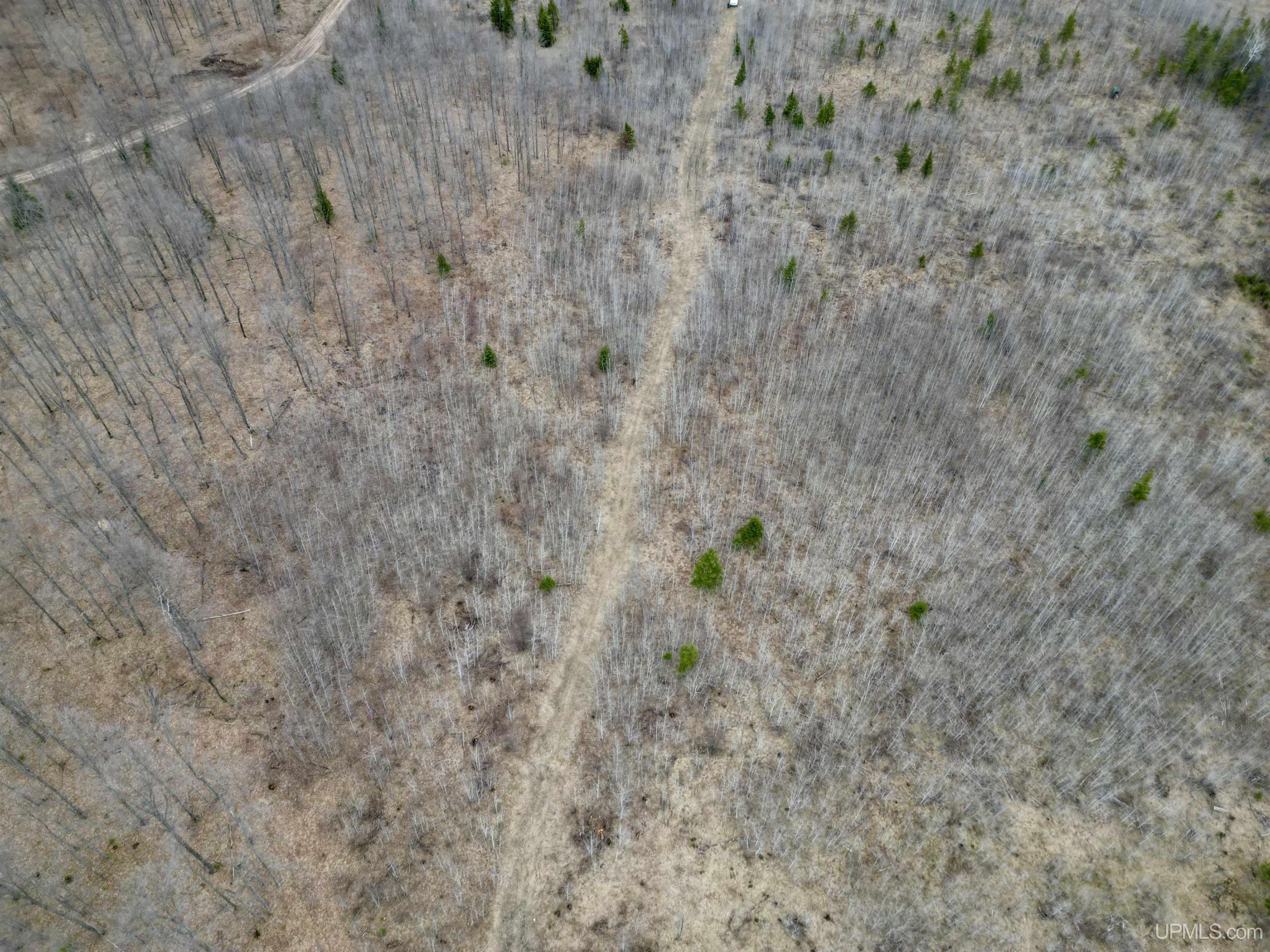 Tbd North Gaber Rd H Road Perronville, MI 49873 - Photo 4 of 14