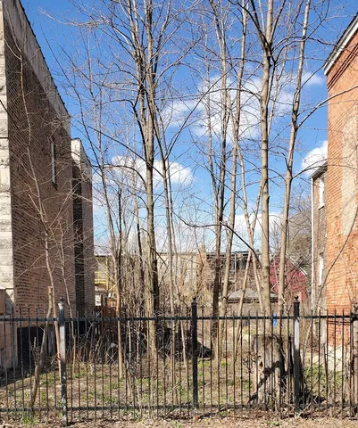 a view of a yard with a trees