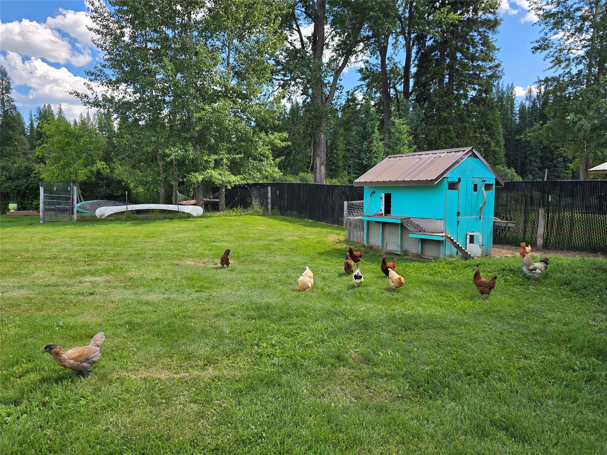 29132 Yaak River Road Troy, MT 59935 - Photo 13 of 73 Gallery Image 13