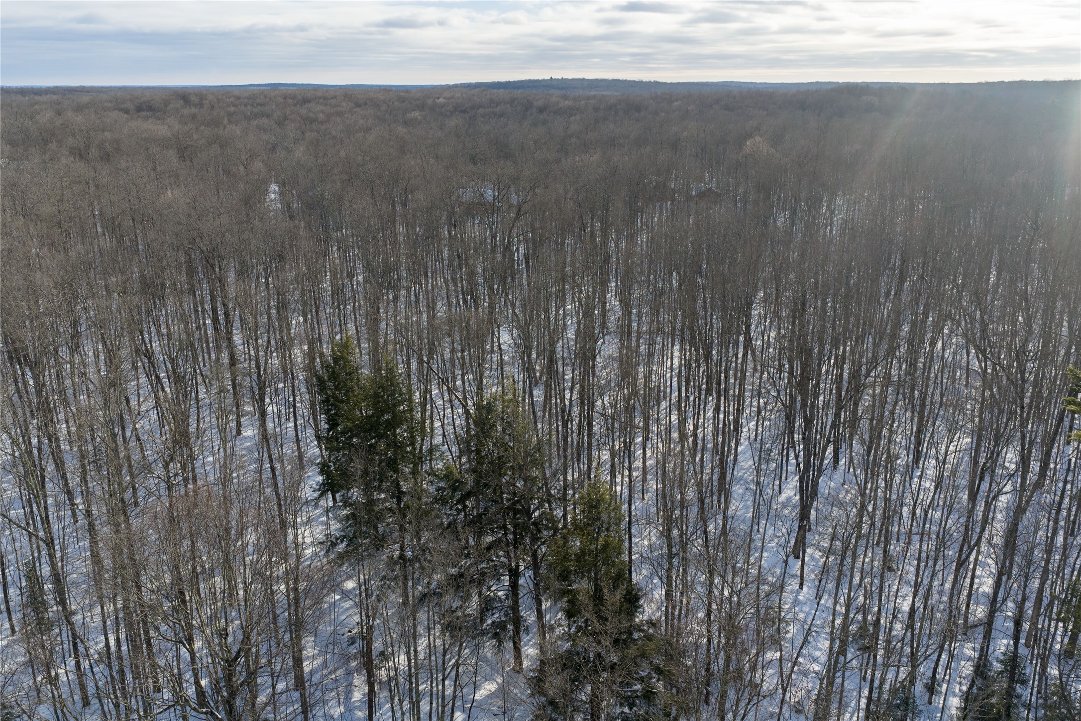 4748 W Butler Road Winter, WI 54896 - Photo 54 of 55