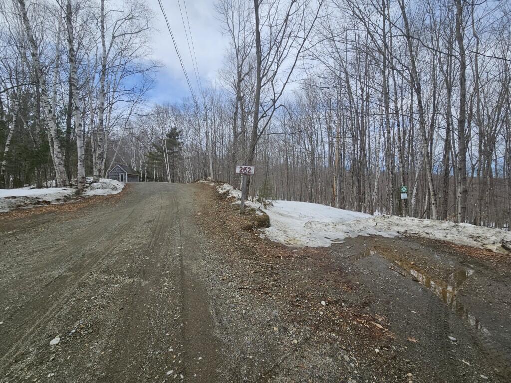 262 Mitchell Brook Road Temple, ME 04984 - Photo 62 of 65 Driveway entrance