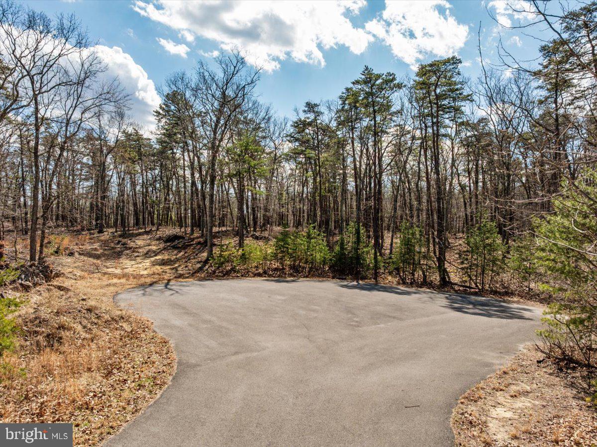 Lot 18 Loop Court Cross Junction, VA 22625 - Photo 3 of 22 a view of outdoor space and trees