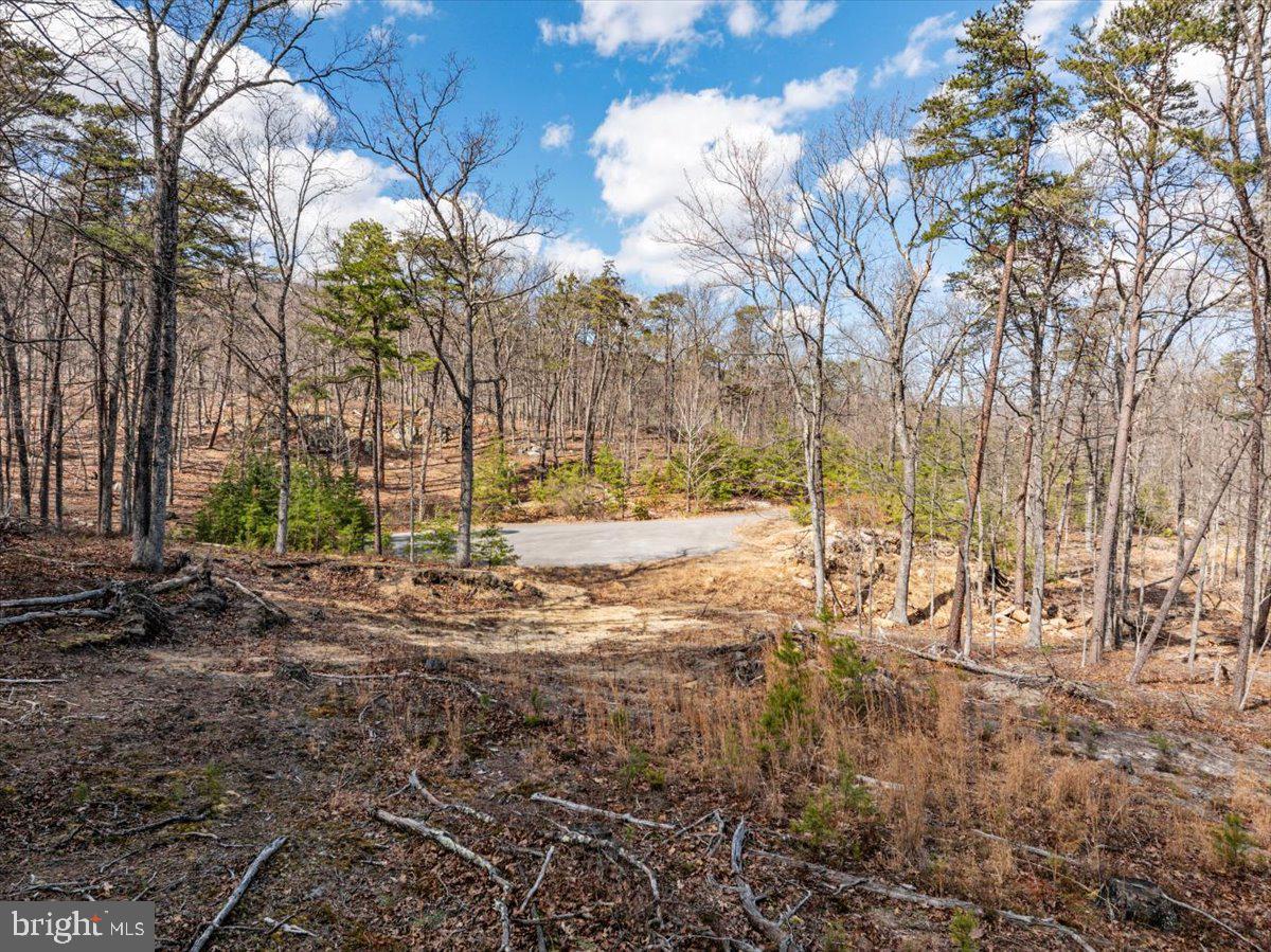 Lot 18 Loop Court Cross Junction, VA 22625 - Photo 3 of 22
