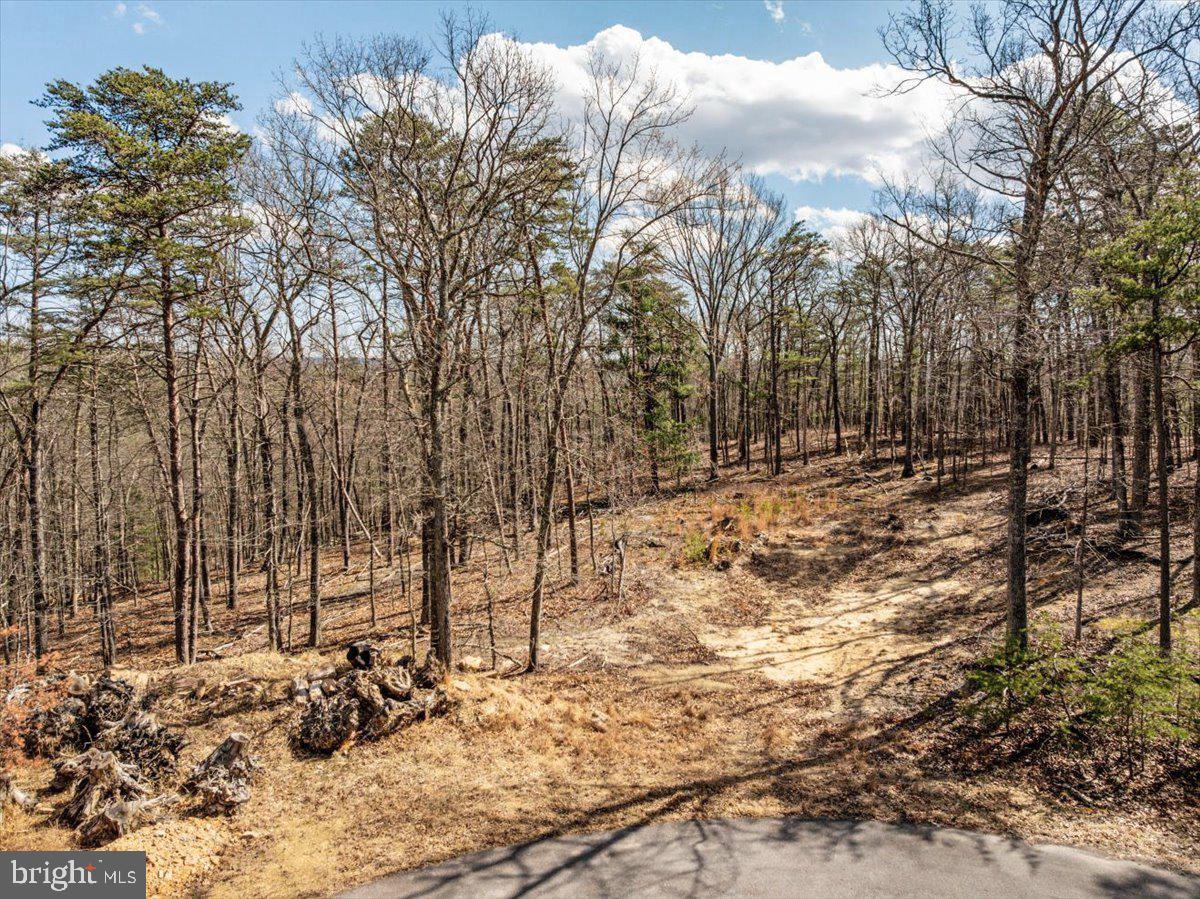 Lot 18 Loop Court Cross Junction, VA 22625 - Photo 5 of 22