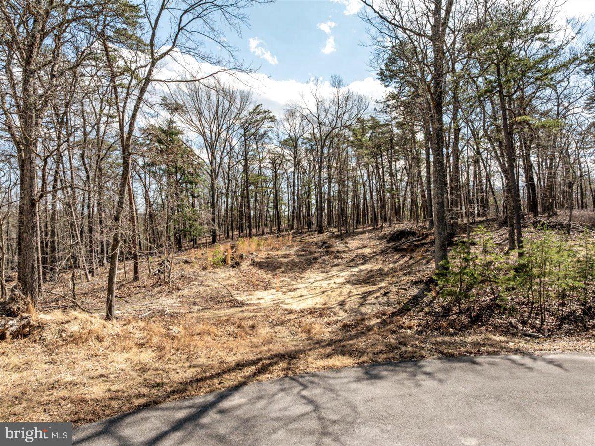 Lot 18 Loop Court Cross Junction, VA 22625 - Photo 5 of 22 a view of covered with snow