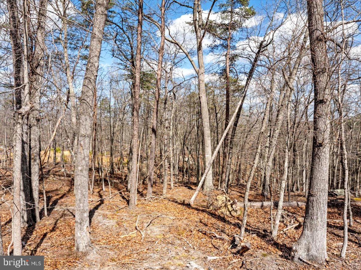 Lot 18 Loop Court Cross Junction, VA 22625 - Photo 7 of 22 a view of covered with snow