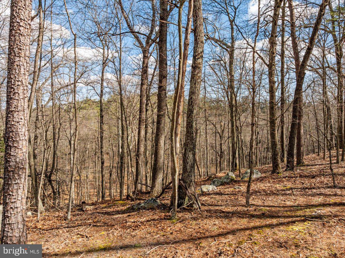 Lot 18 Loop Court Cross Junction, VA 22625 - Photo 8 of 22 a view of a backyard