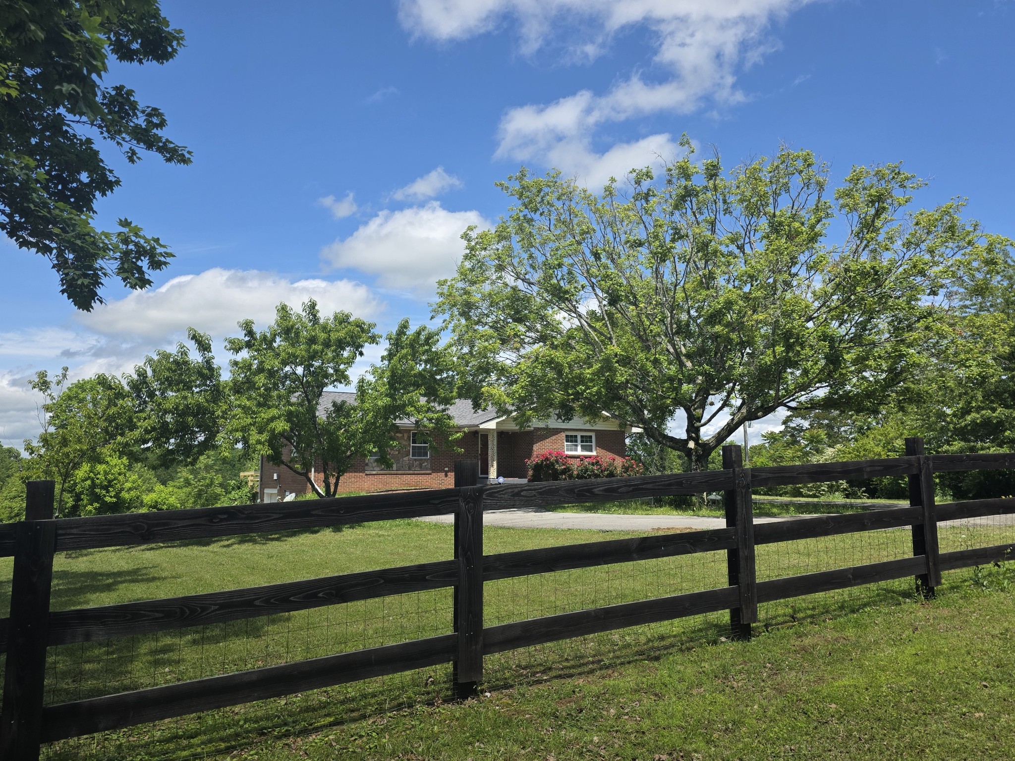 7690 Barnhill Road Primm Springs, TN 38476 - Photo 2 of 50 a view of a bench in a garden