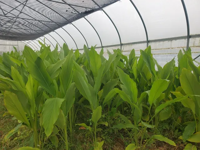 a view of a backyard of the house