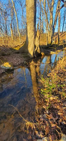 $974,000 | 7690 Barnhill Road, Primm Springs, TN 38476