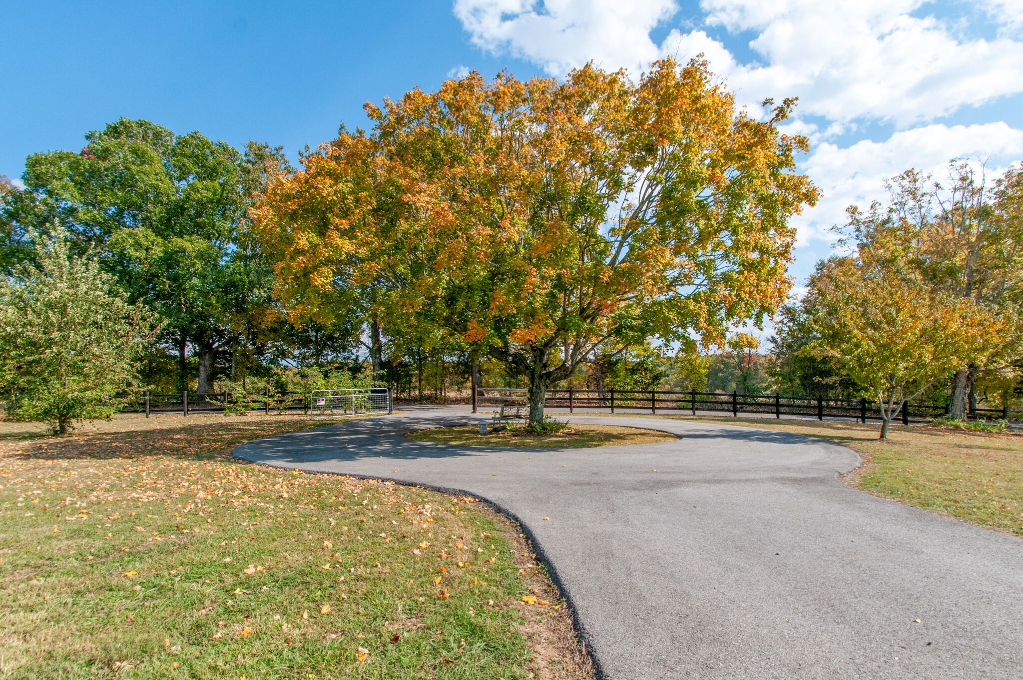 7690 Barnhill Road Primm Springs, TN 38476 - Photo 8 of 50 a view of a swimming pool and trees
