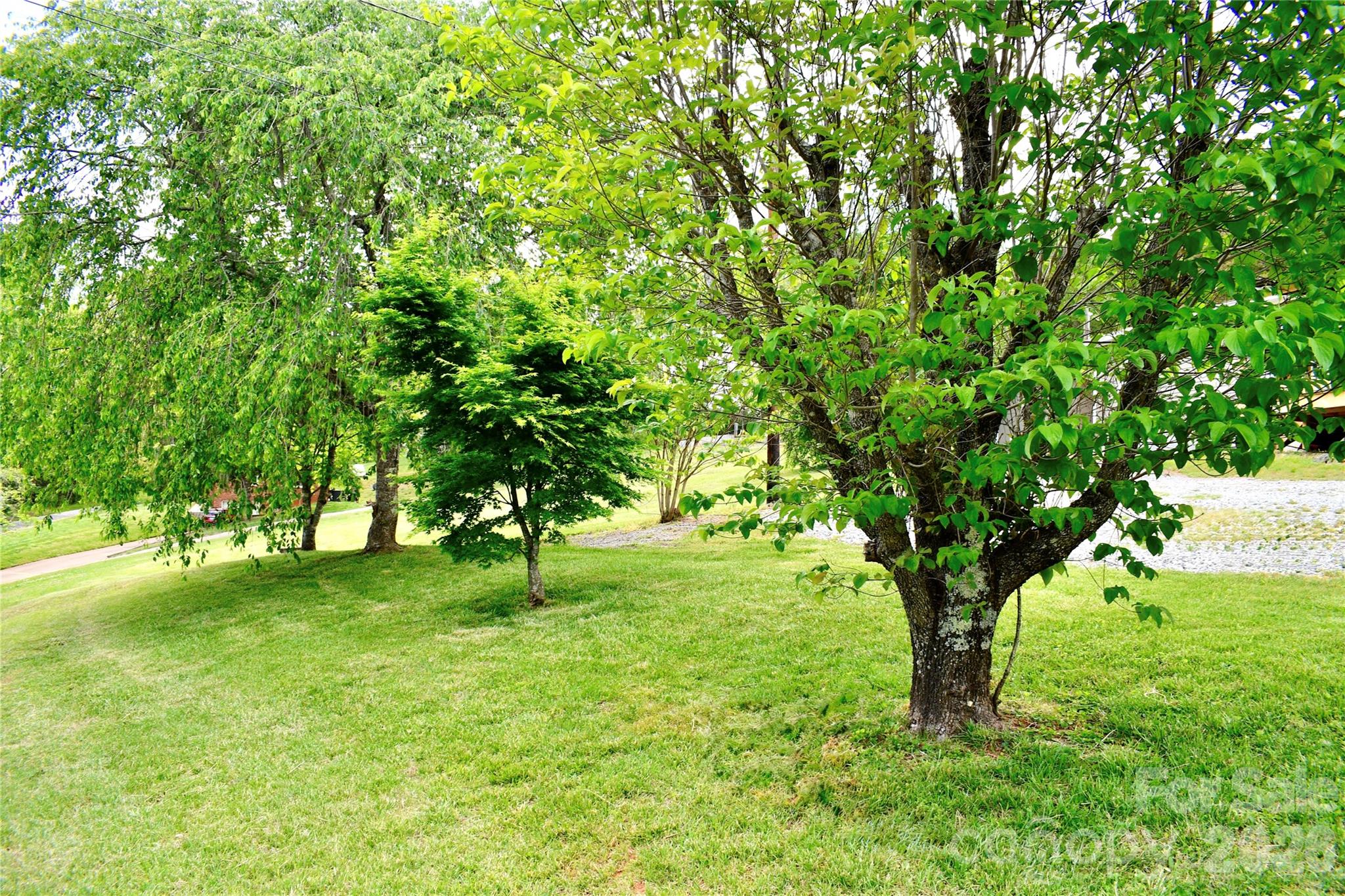 1780 Lytle Mountain Road Marion, NC 28752 - Photo 39 of 45