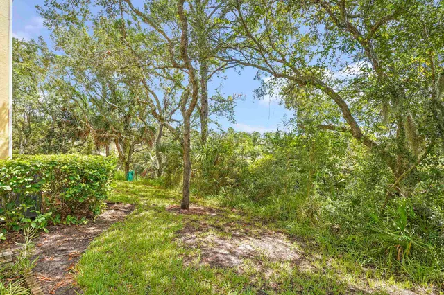 a view of backyard with green space