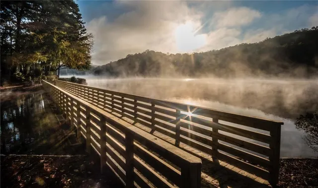 a big yard with lots of green space and trees