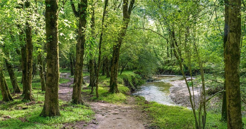 105 Floss Flower Court Roswell, GA 30076 - Photo 42 of 51