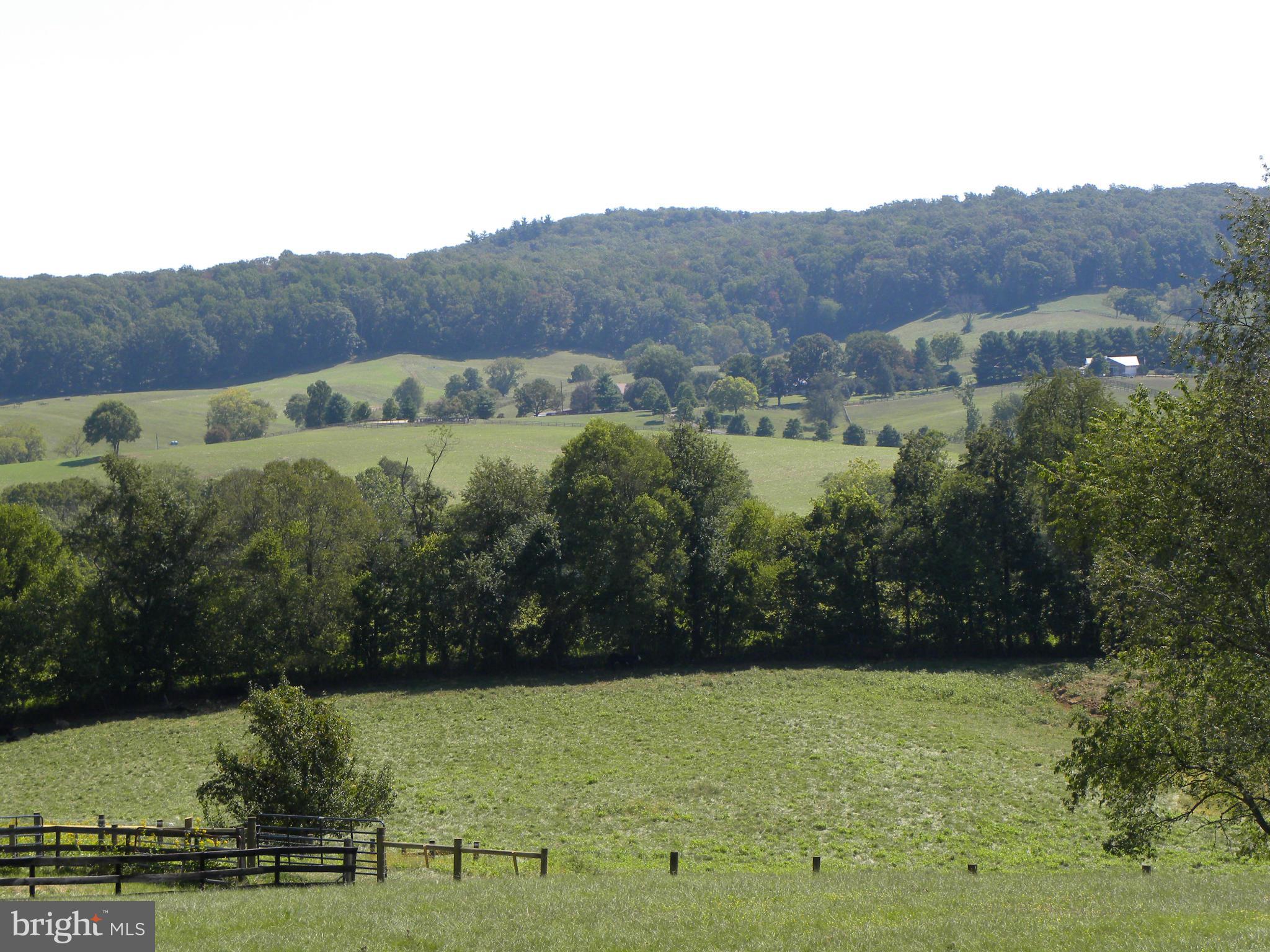 23960 Champe Ford Road Middleburg, VA 20117 - Photo 15 of 30 View
