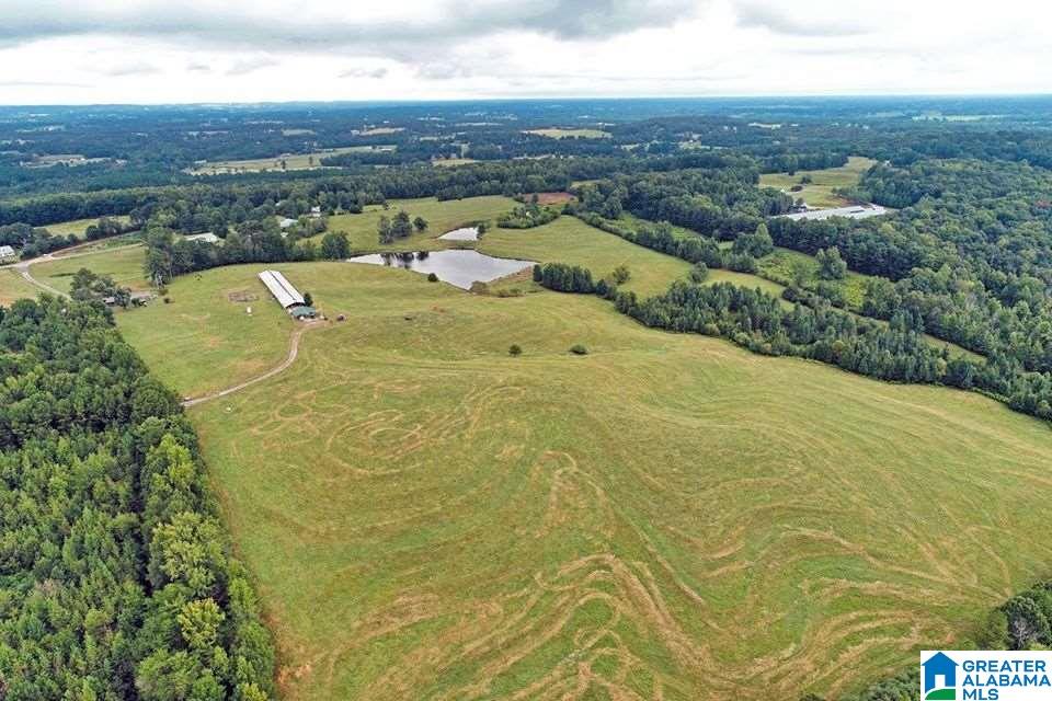 1099 Dailey Road, Unit 1 Altoona, AL 35952 - Photo 4 of 17