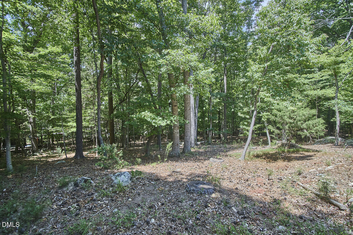 309 Blueridge Road Carrboro, NC 27510 - Photo 50 of 63 034