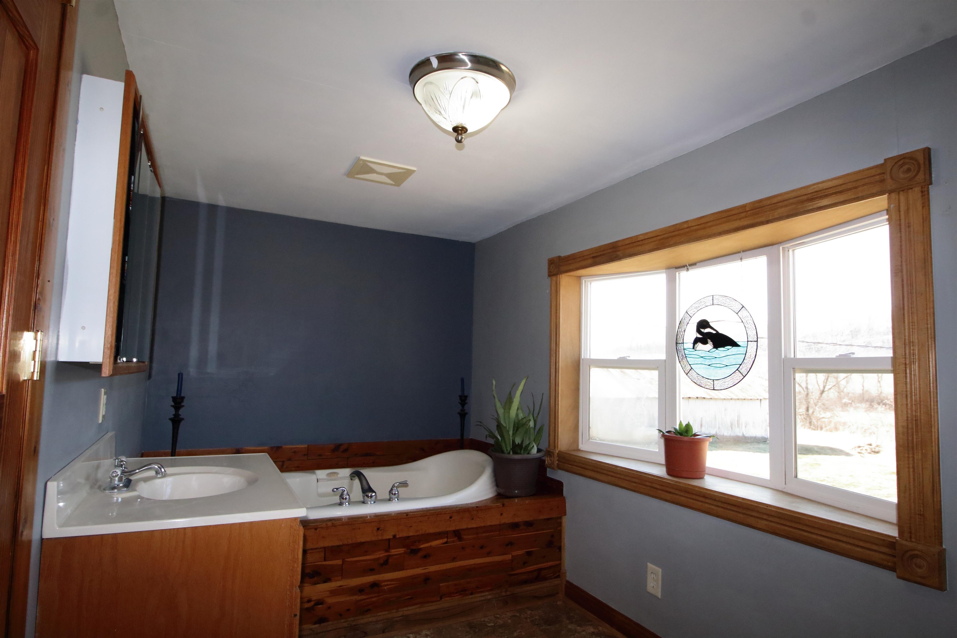 17896 Skunk Hollow Road Mount Carroll, IL 61053 - Photo 5 of 36 a bathroom with a window sink and a mirror