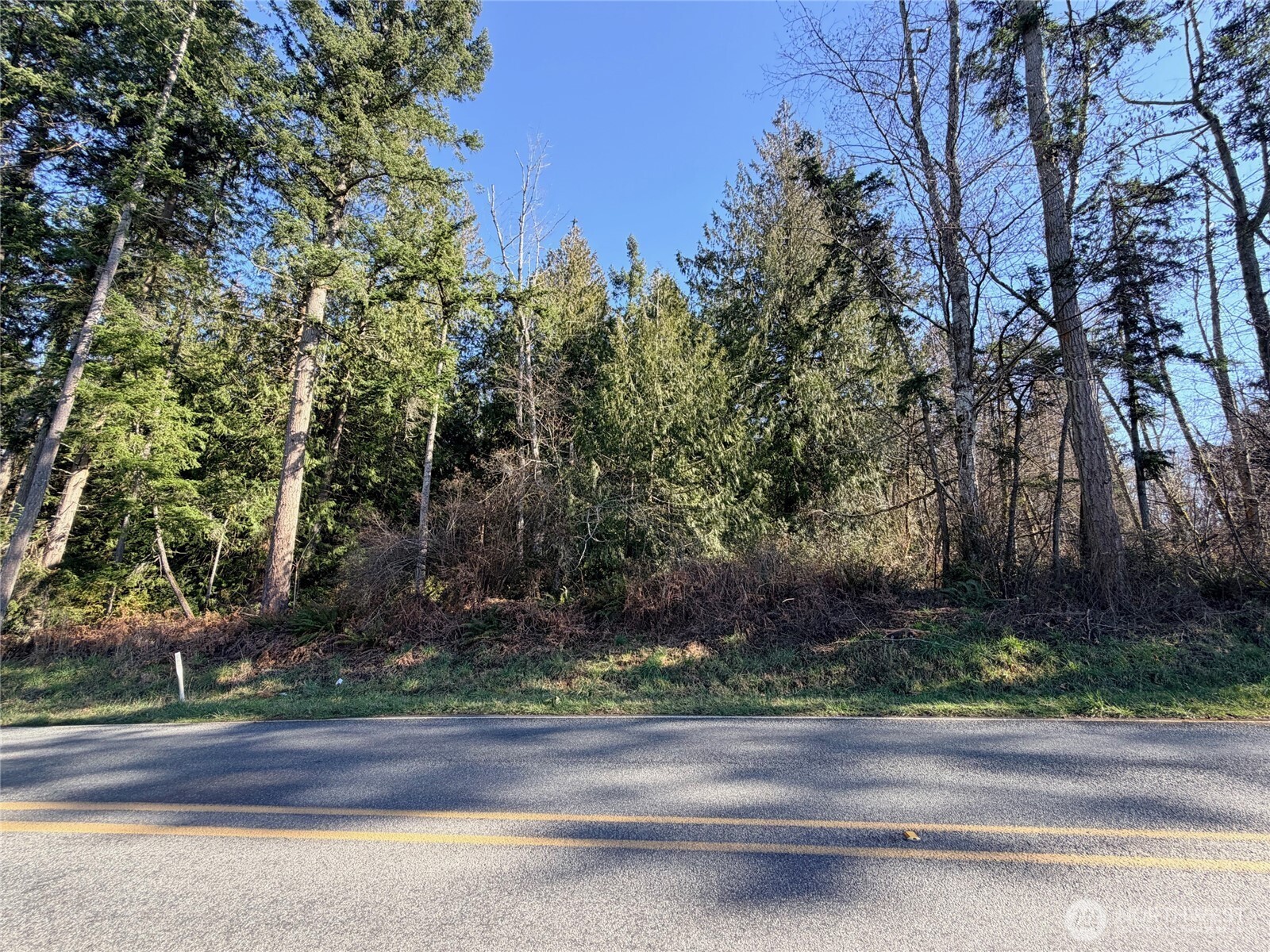 -xxx Xxx Scatchet Head Road Clinton, WA 98236 - Photo 1 of 34 a view of a yard and a tree