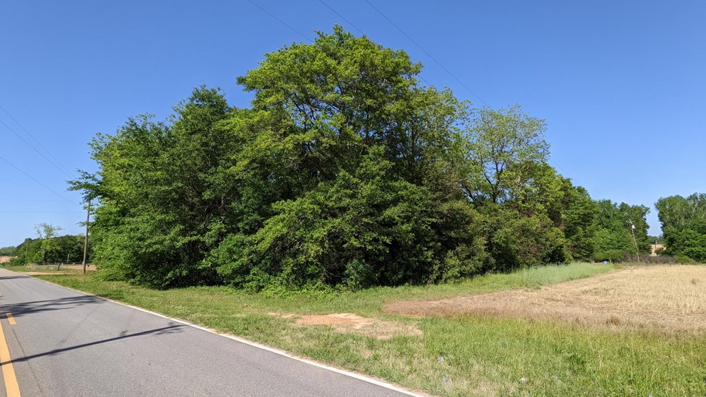 Undisclosed Address Headland, AL 36345 - Photo 2 of 5