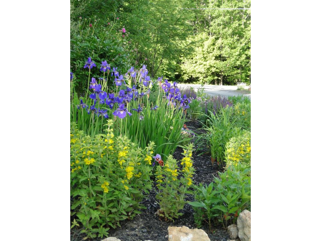 32 Atlantic Drive Rindge, NH 03461 - Photo 25 of 34