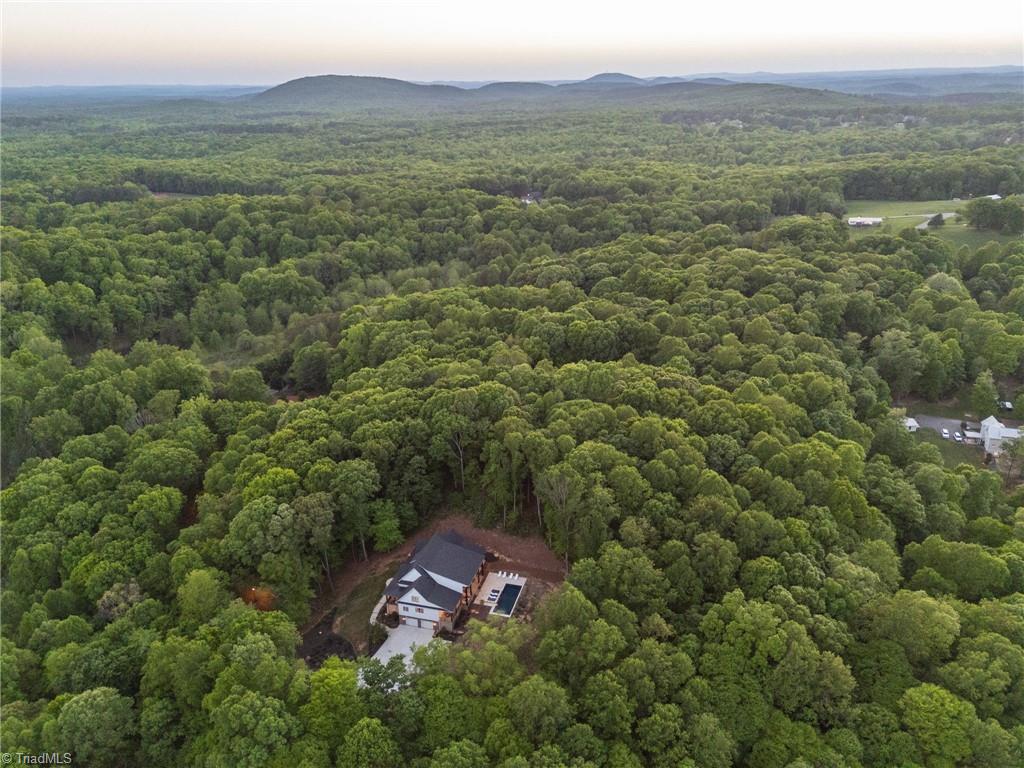 1642 Pineview Road Randleman, NC 27317 - Photo 43 of 46