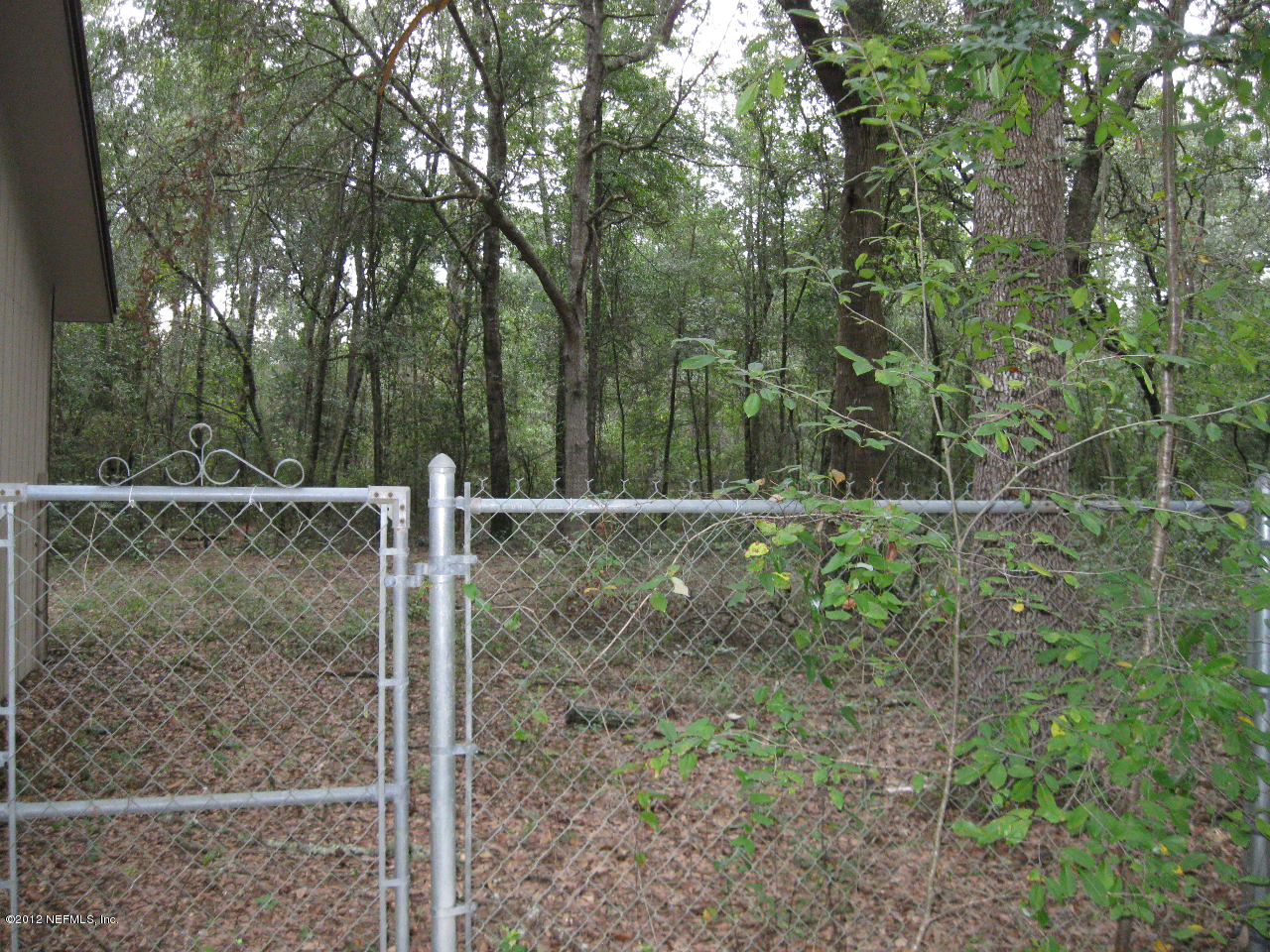 4250 Chokeberry Road Middleburg, FL 32068 - Photo 17 of 19 Rear of Home 2