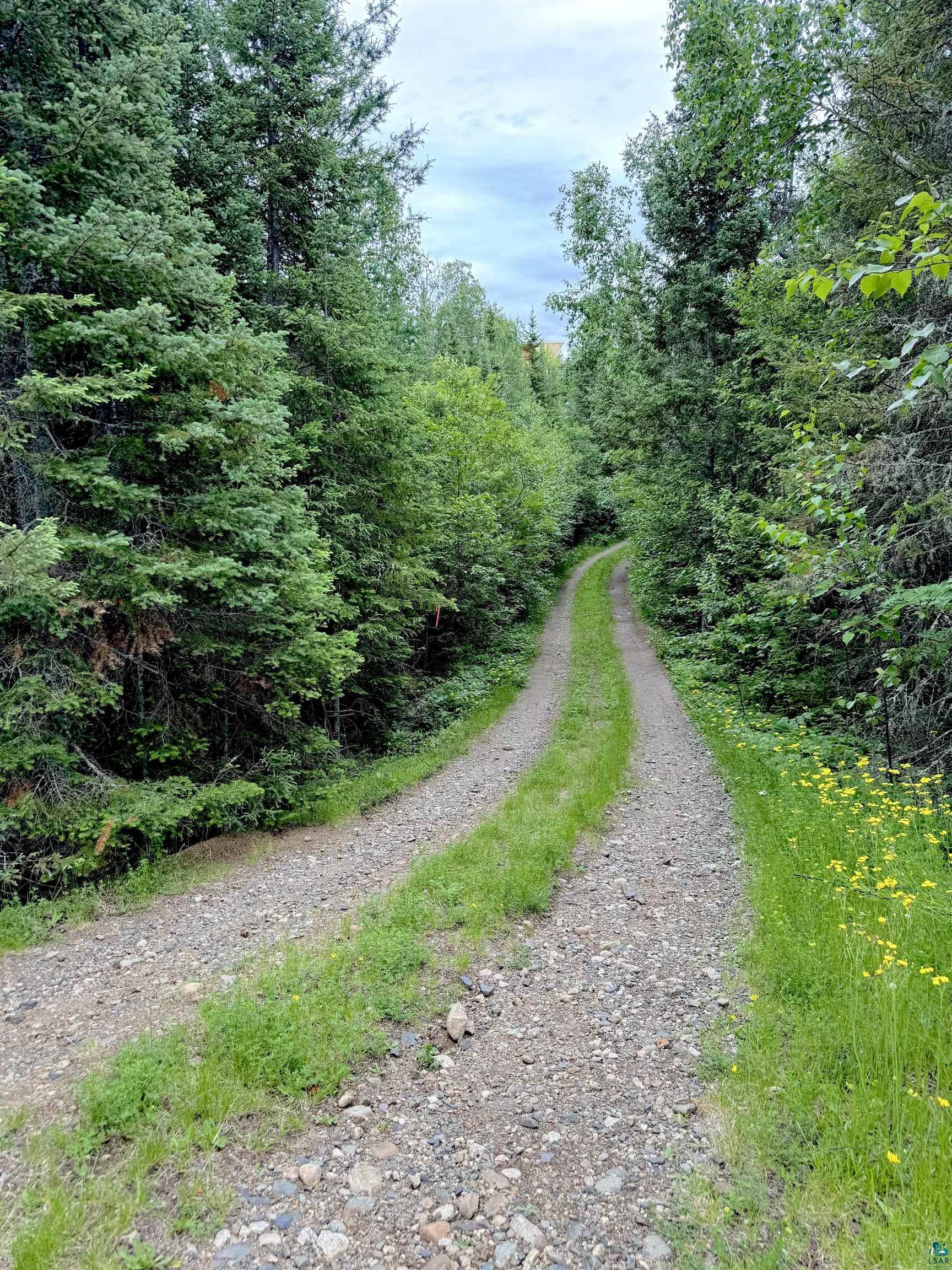 Tbd Onagon Lake Road Grand Marais, MN 55604 - Photo 12 of 14