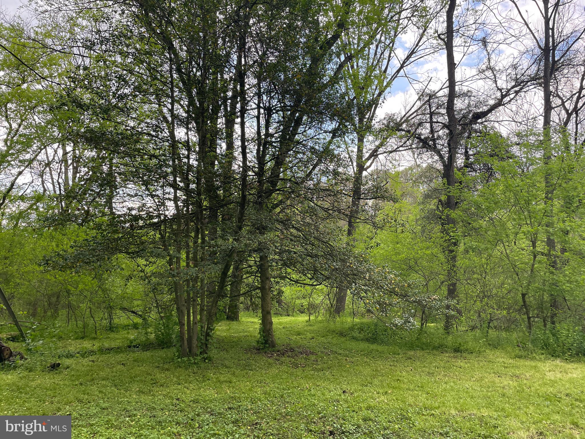 0 River Road Pequea, PA 17565 - Photo 13 of 28 a view of backyard with green space