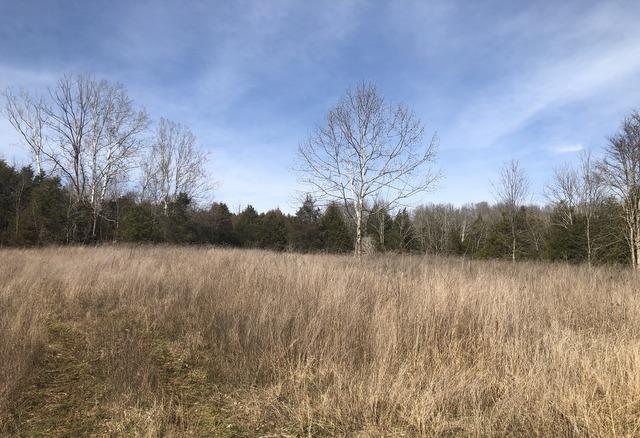 473 Billy Sparks Road Edmonton, KY 42129 - Photo 9 of 41 Gallery Image 9
