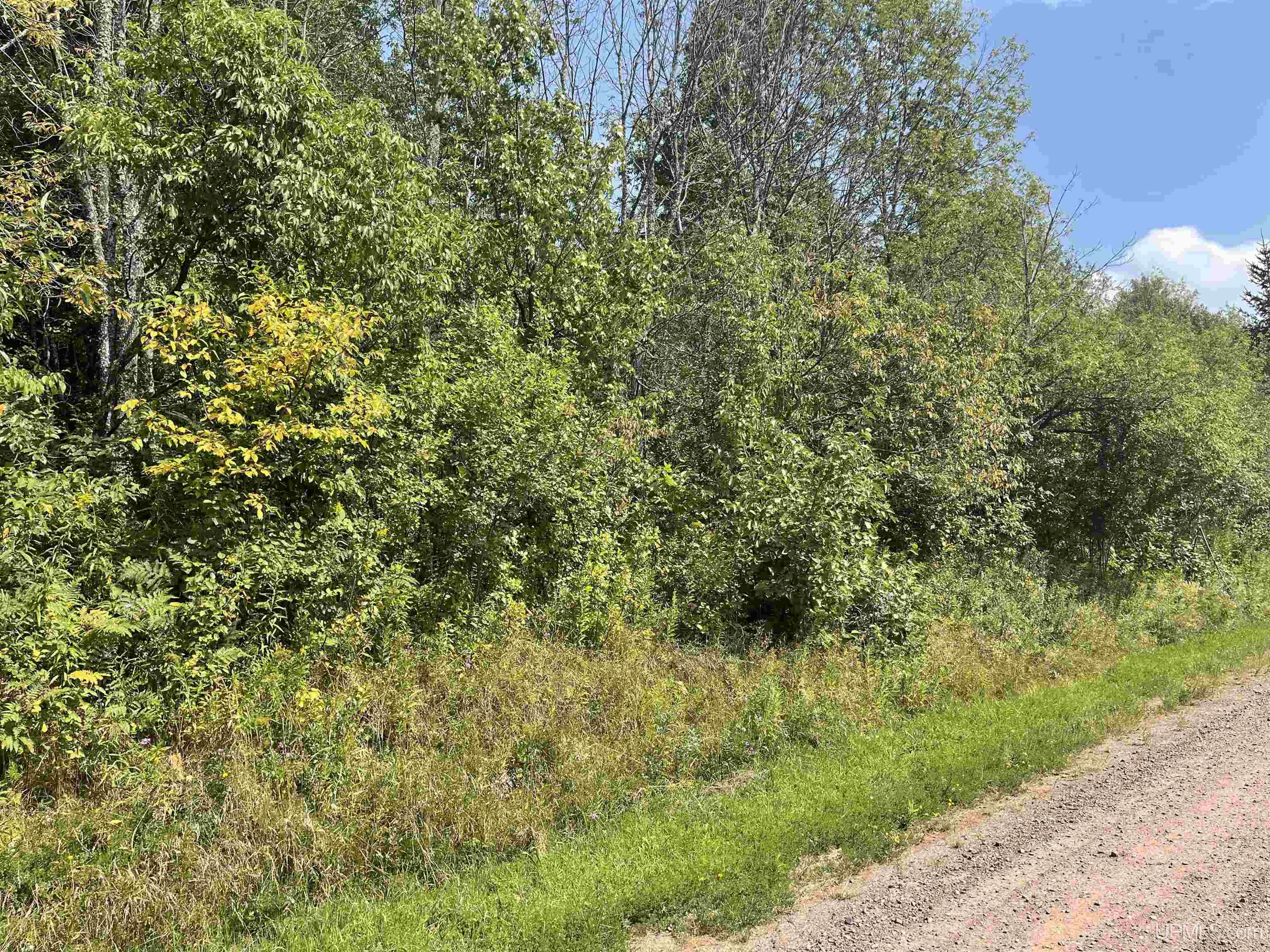 Tbd Tbd Sandene Road Bessemer, MI 49911 - Photo 1 of 7