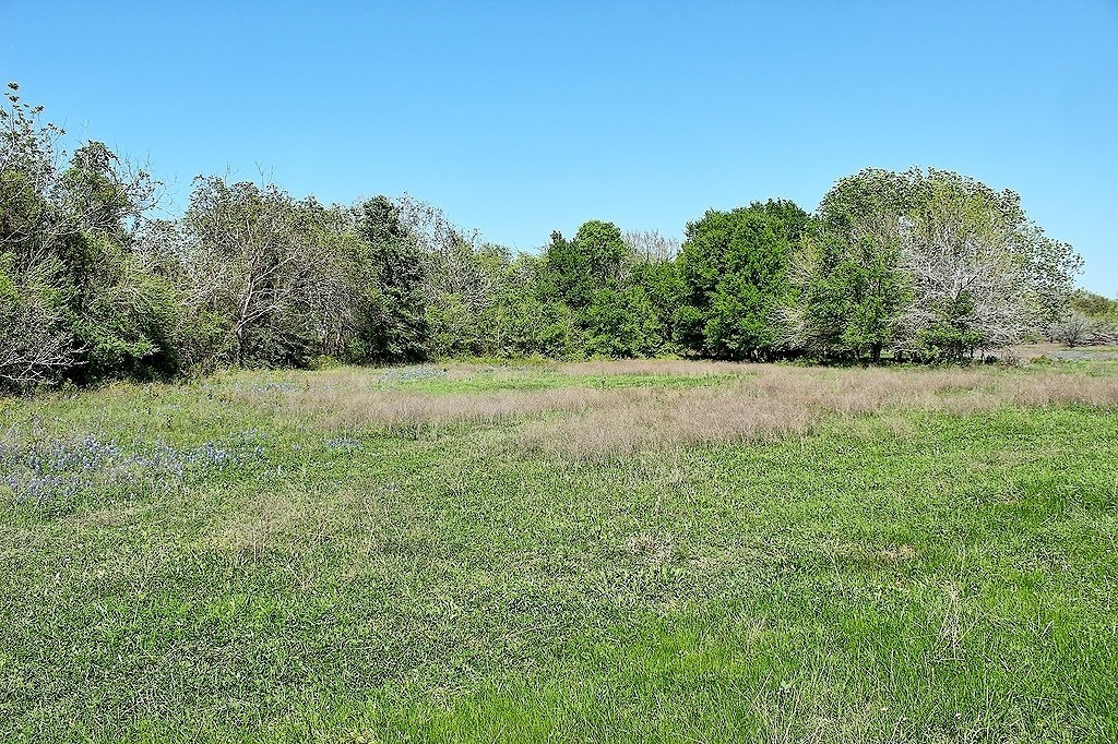 Tbd Scott Road Weimar, TX 78962 - Photo 16 of 16 a view of a field with trees in the background