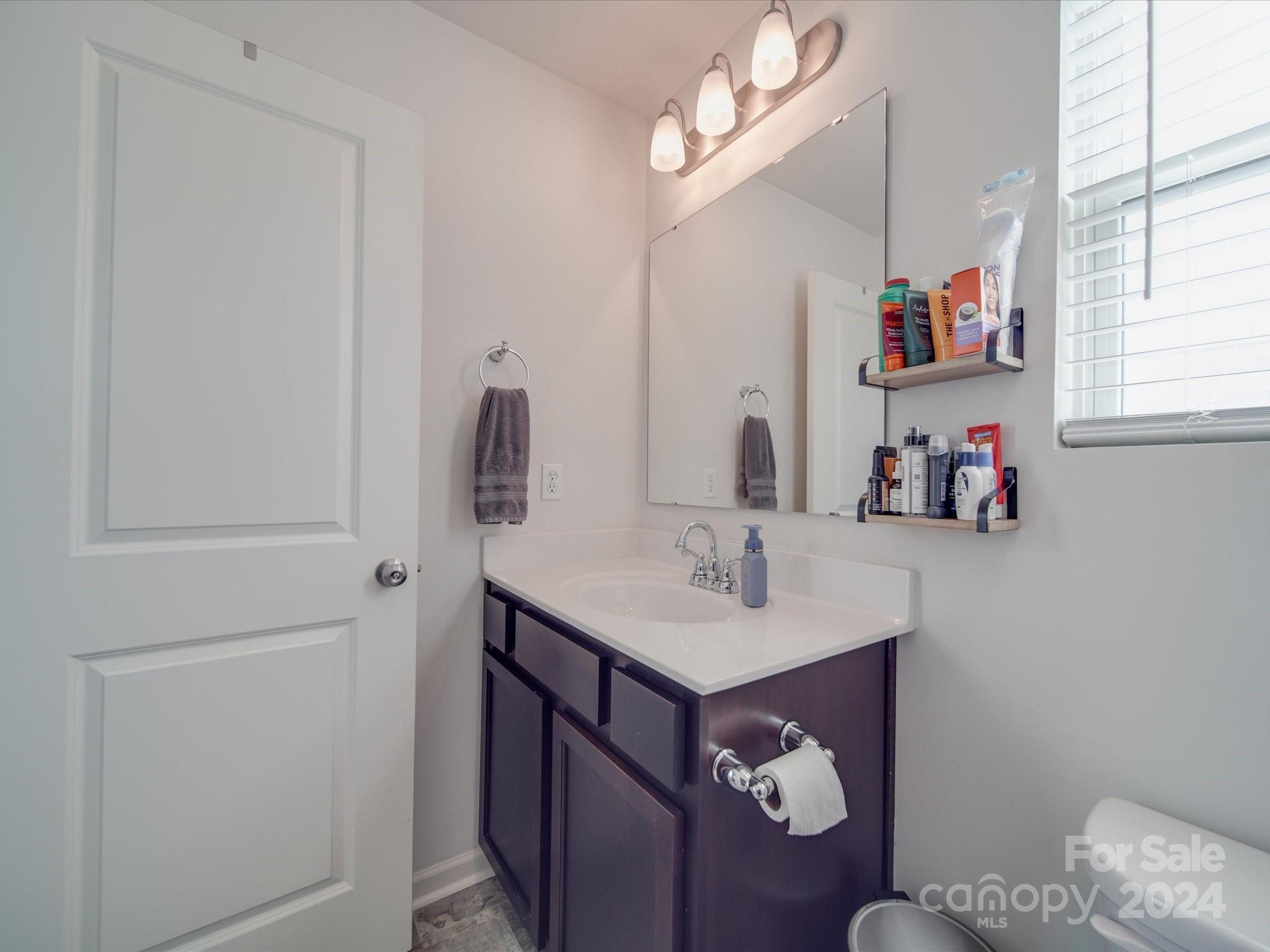 3824 Tersk Drive Midland, NC 28107 - Photo 19 of 39 a bathroom with a sink a mirror and a window