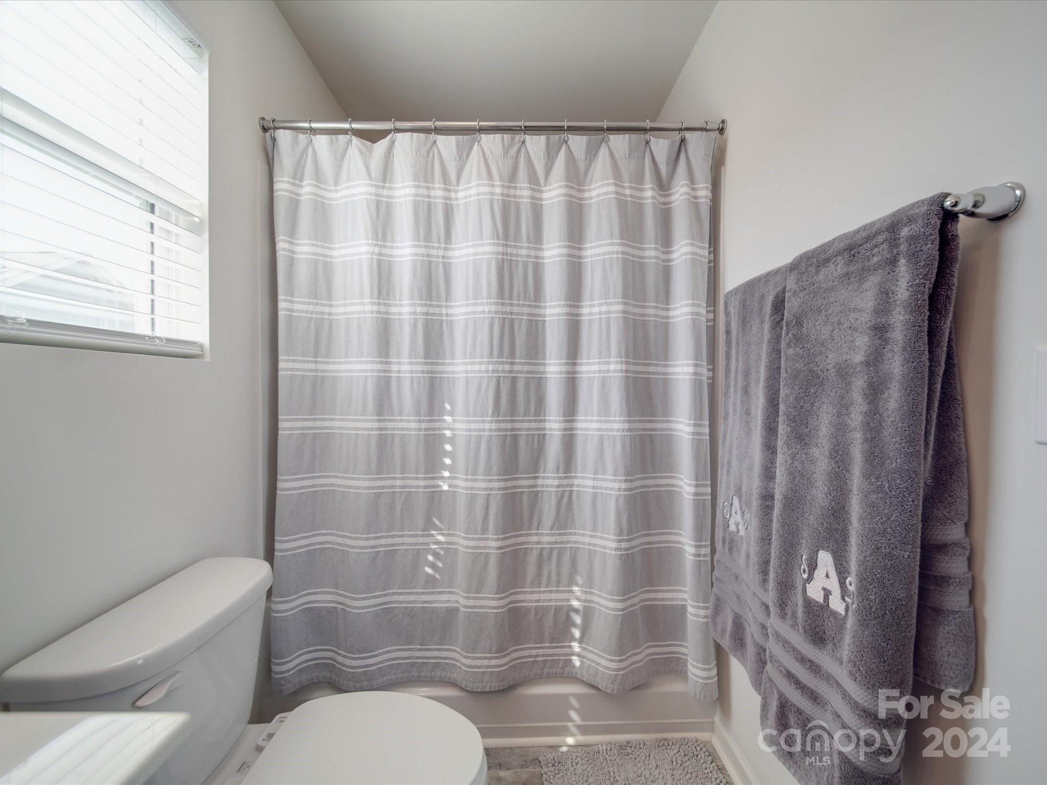 3824 Tersk Drive Midland, NC 28107 - Photo 20 of 39 a bathroom with a toilet and shower curtain