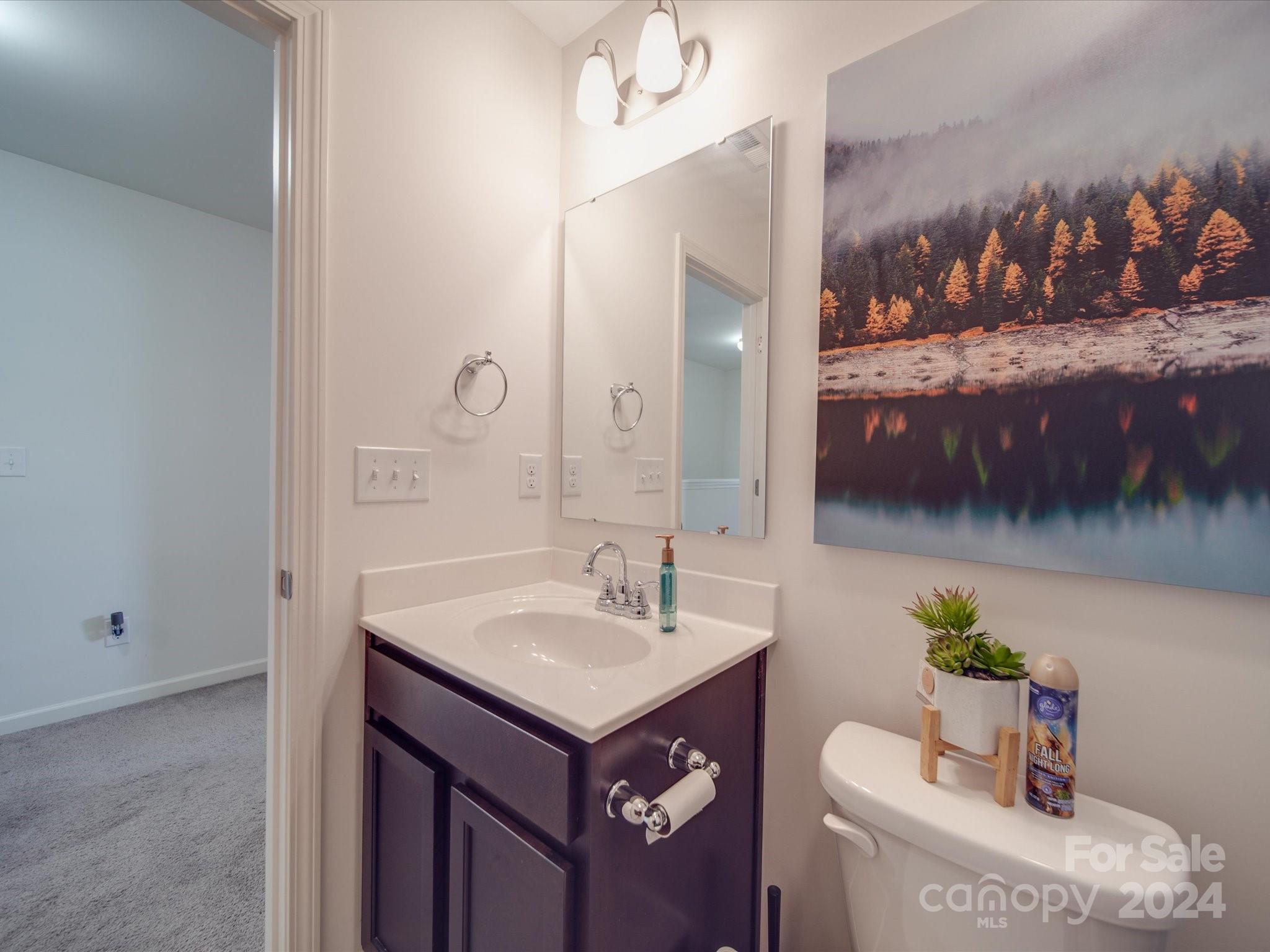 3824 Tersk Drive Midland, NC 28107 - Photo 23 of 39 a bathroom with a sink and a mirror