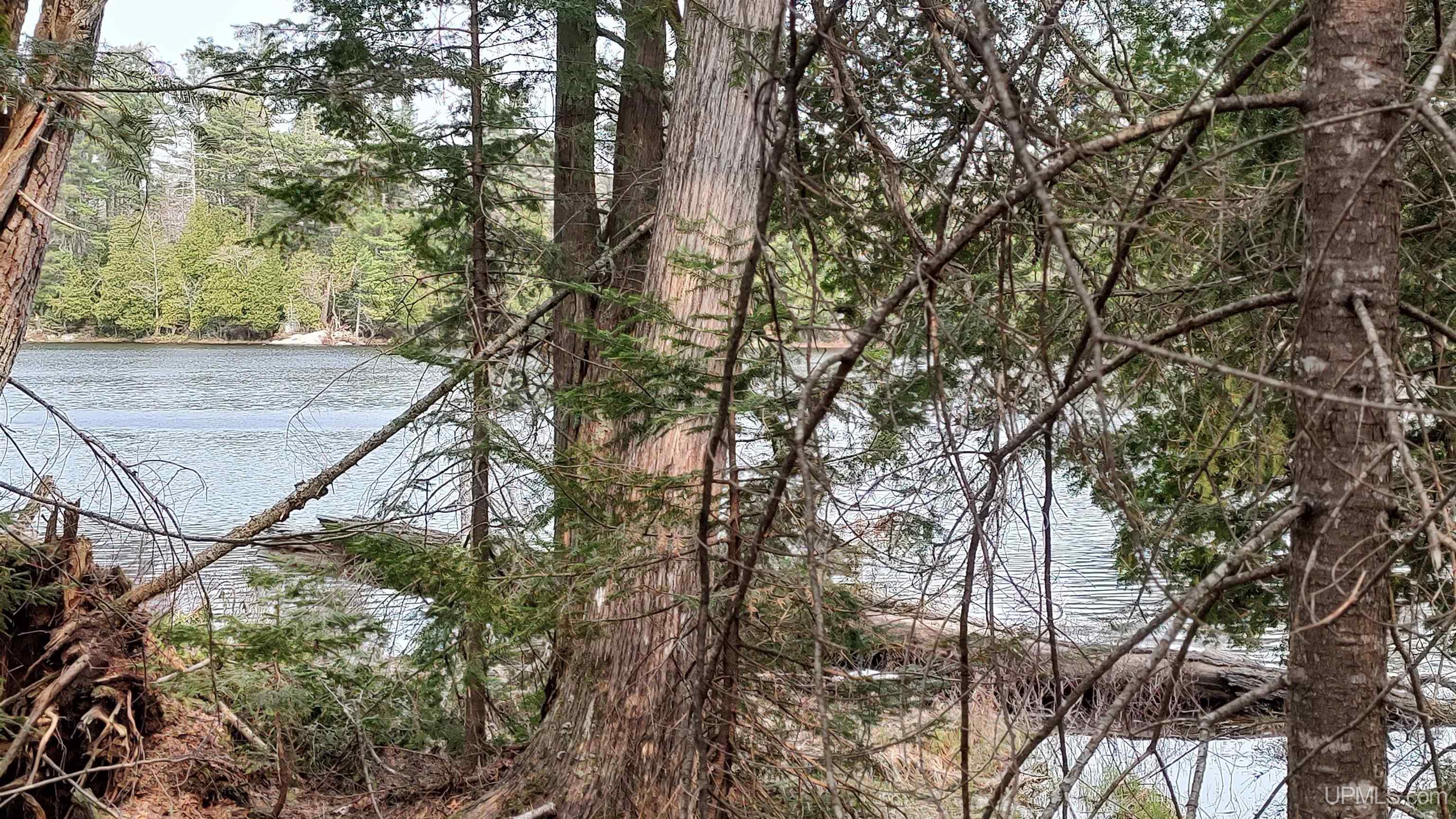 Tbd Tbd Durchman Lake Road Lanse, MI 49946 - Photo 22 of 56