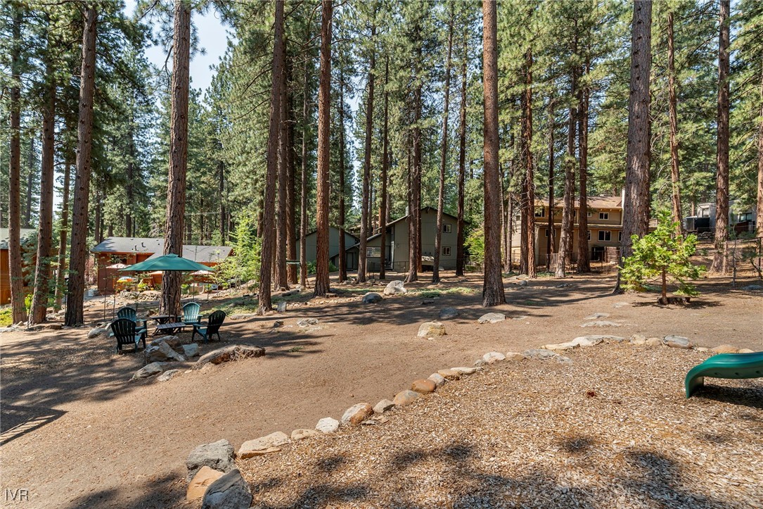 267 Tramway Road Incline Village, NV 89451 - Photo 34 of 44 Yard