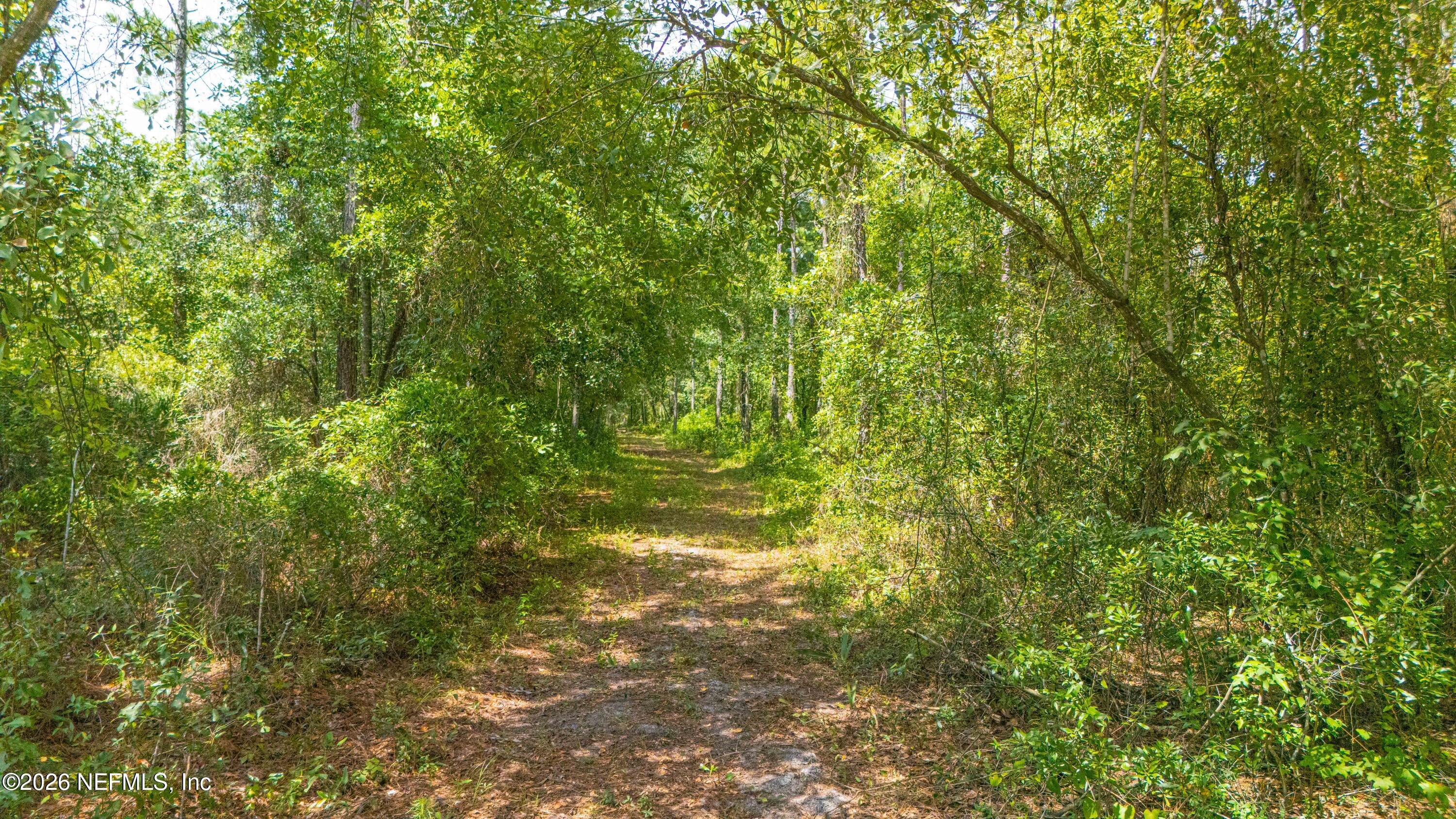 3650 Joe Ashton Road St. Augustine, FL 32092 - Photo 2 of 23 3650 Joe Ashton-12