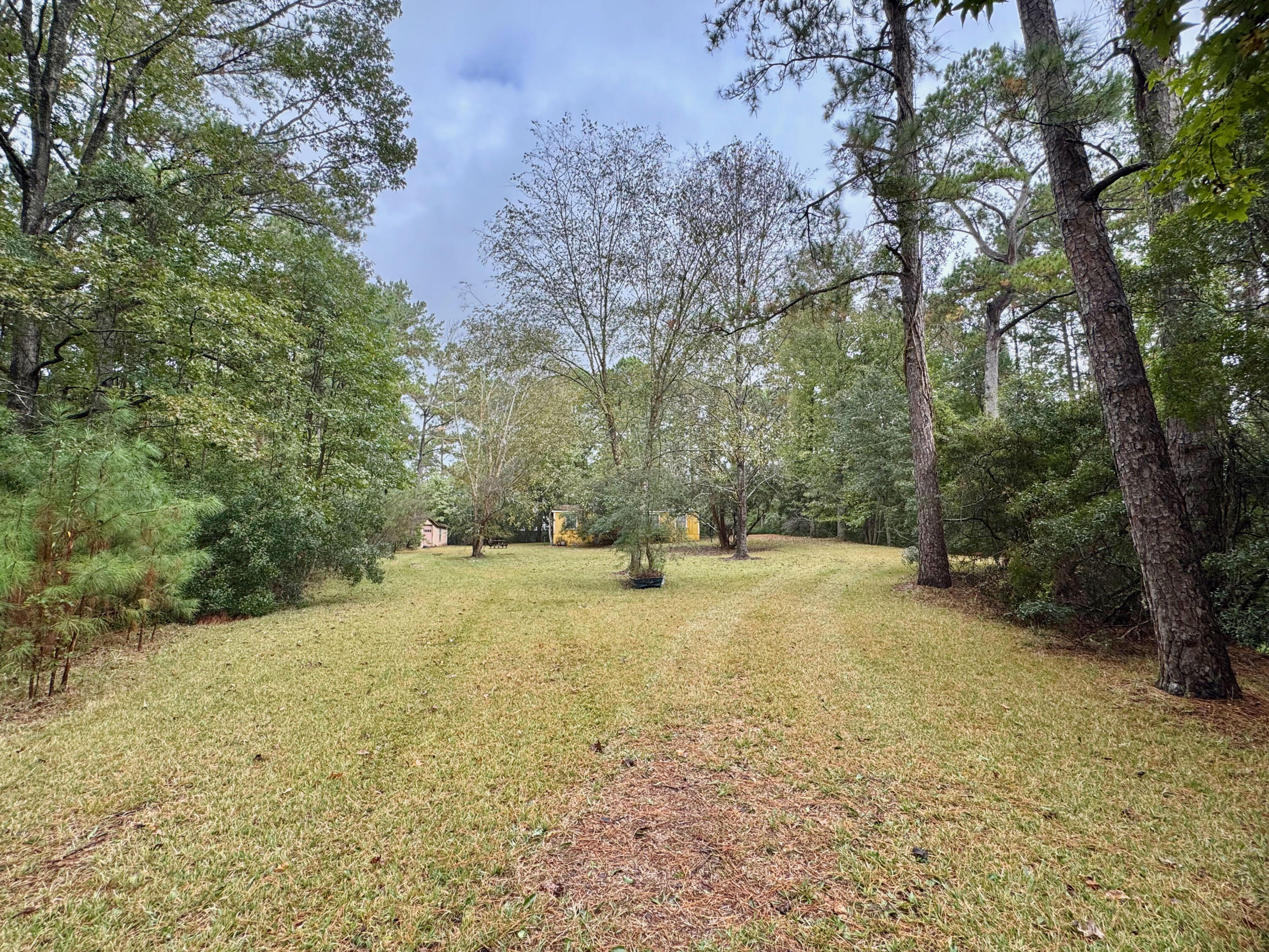 2995 Causey Road Mount Pleasant, SC 29466 - Photo 15 of 20 15_Phone