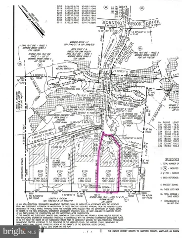 a black and white photo of a picture