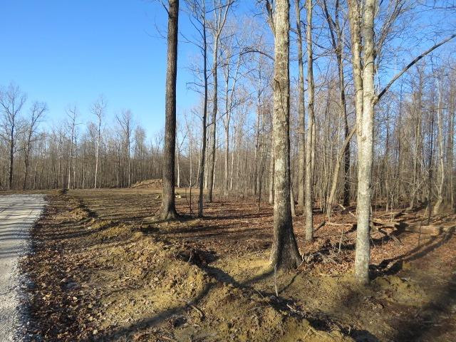 300 BEN LOWE Road Morehead, KY 40351 - Photo 3 of 10 Photo 3