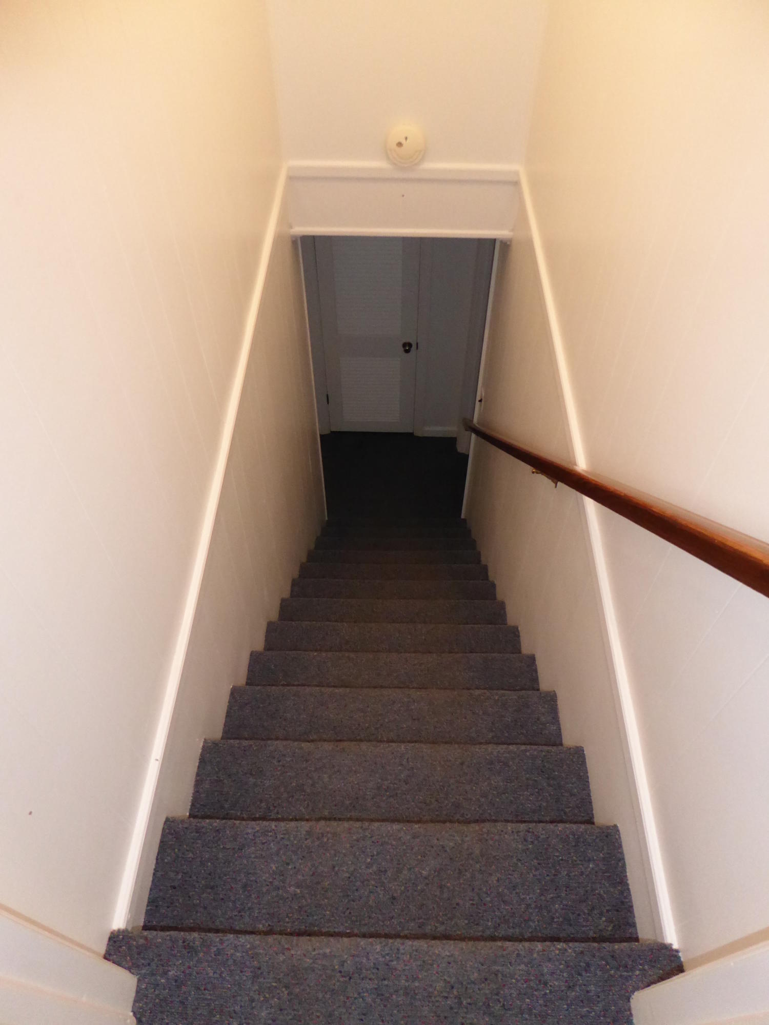 1290 Scuffling Hill Road Rocky Mount, VA 24151 - Photo 19 of 36 13a Stairs to Lower Level